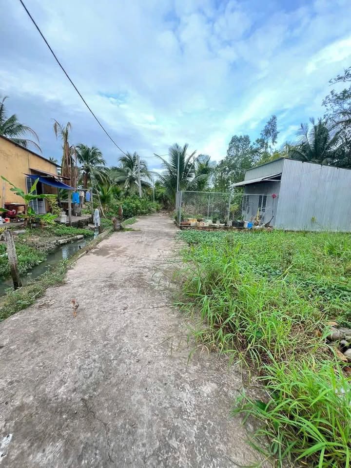 Đất nền đẹp An Bình, Ninh Kiều, Cần Thơ 61m² giá chỉ 295 triệu - Đầu tư sinh lời!