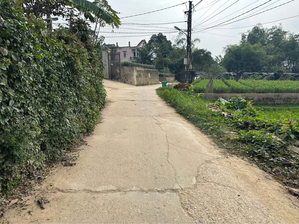 Đất nền Huống Thượng 150m² giá chỉ 1 tỷ - Tiềm năng tăng giá cao!