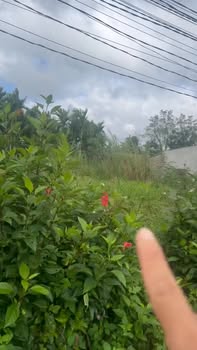 Đất nền Phú Xuân 132m² giá chỉ 7x triệu - Cơ hội đầu tư tuyệt vời!