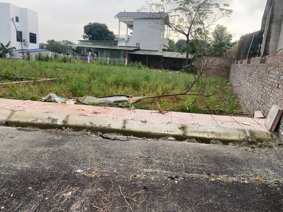 Đất nền Phú Cát Quốc Oai 200m² giá thỏa thuận - Mặt tiền 9m nở hậu!