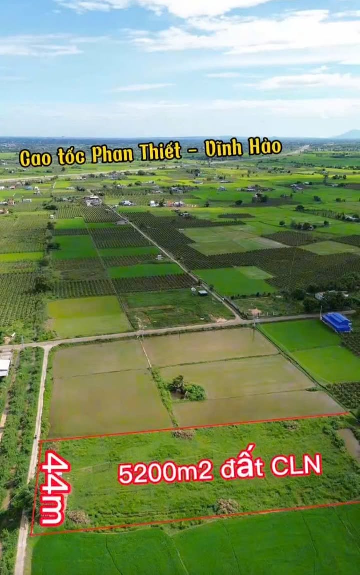 Đất thổ cư 300m² mặt tiền kênh Hàm Phú - Cơ hội đầu tư tuyệt vời!