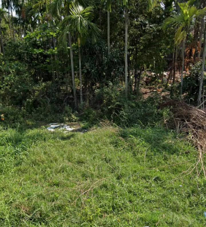 Đất Cẩm Thanh Hội An 406m² giá 11.4 tỷ - View lúa tuyệt đẹp!