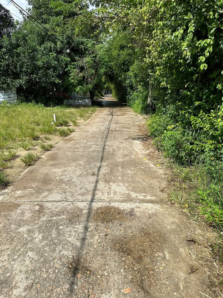 Đất nền Điện Ngọc 161m² giá 2.5 tỷ - Vị trí đắc địa, đầu tư sinh lời!