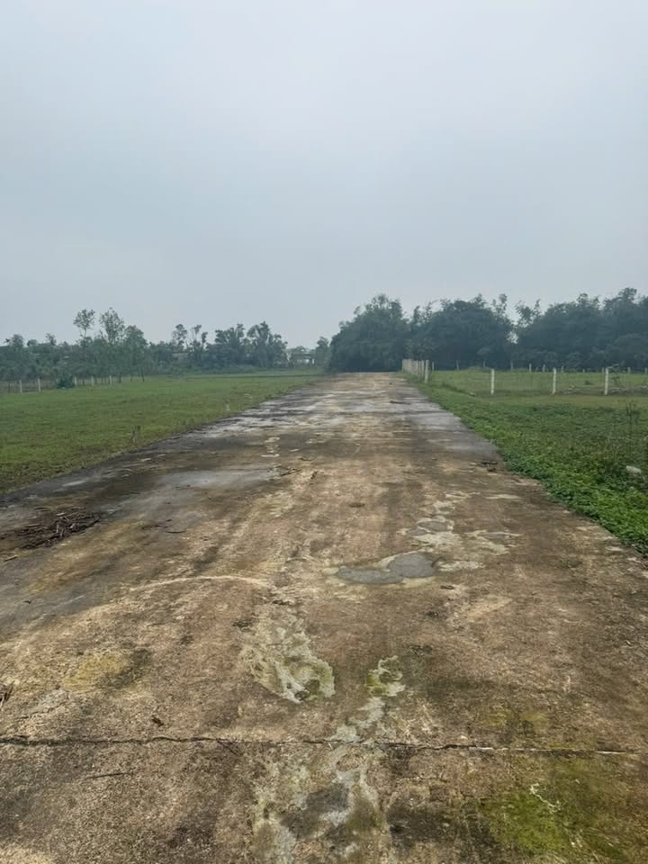 Đất nền tại đường Nguyễn Đổng Chi, Kỳ Anh, 160m² chỉ 1.4 tỷ - Đầu tư sinh lời!