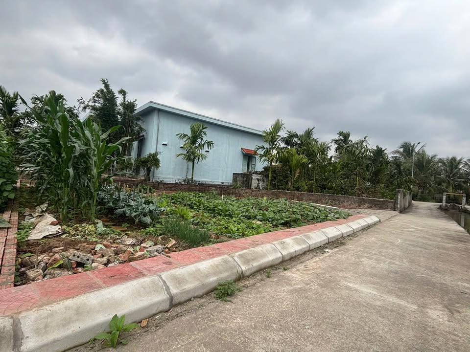 Đất nền thôn Rỗ - Quyết Tiến 100m² chỉ 800 triệu - Cơ hội đầu tư tuyệt vời!