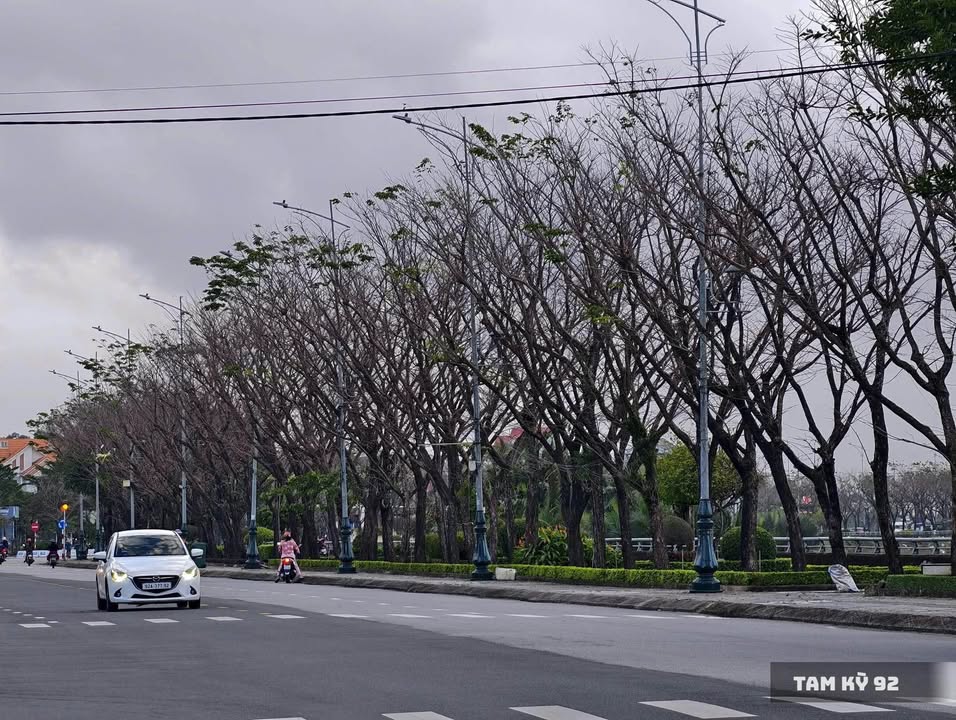 Đất liền kề KDC An Hà Tây, Tam Kỳ 525m² giá 1.8 tỷ - Đầu tư sinh lời ngay!