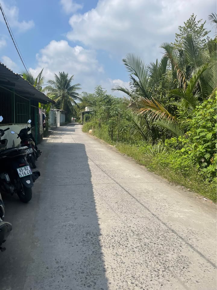 Đất nền KDC Tân Phú Cái Răng 100m² giá 550 triệu - Cơ hội đầu tư sinh lời!