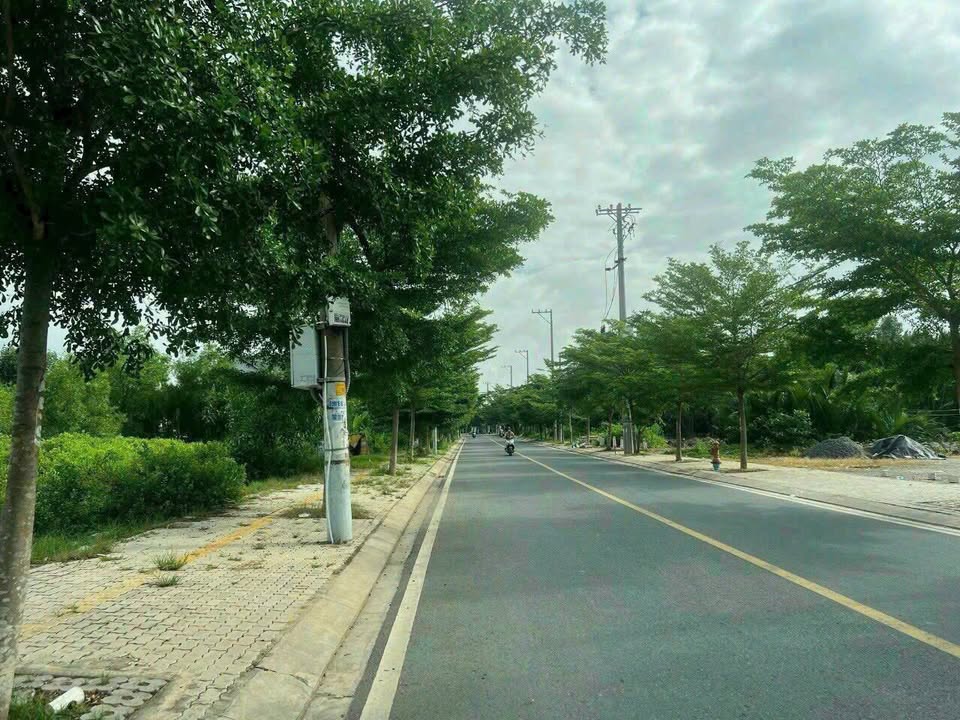 Đất mặt tiền Nguyễn Văn Tạo, Nhà Bè 19.904m² - Giá chỉ 15 triệu/m², Bớt lộc cho khách hàng!