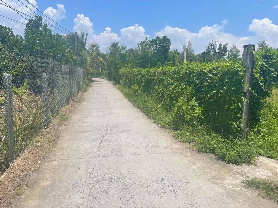 Đất thổ cư 165m² tại An Cư, Cái Bè - Giá chỉ 750 triệu, đầu tư sinh lời cao!