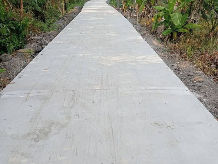 Đất vườn Long Hưng Đồng Tháp 2435m² giá 1.5 tỷ - Đầu tư sinh lời hấp dẫn!