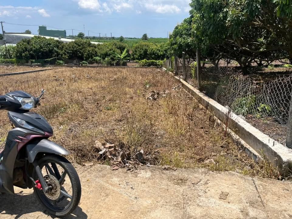 Đất nền Láng Dài 150m² giá 519 triệu - Cơ hội đầu tư tuyệt vời!