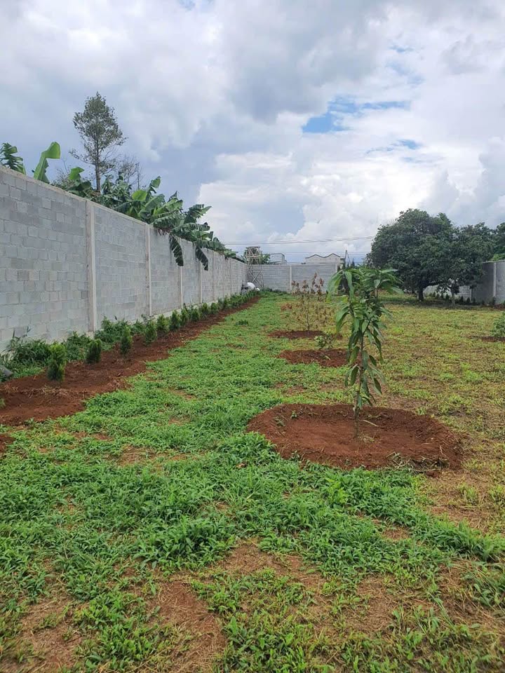 Đất nền 1500m² Hiệp Thạnh giá 5 tỷ - Pháp lý sổ riêng chính chủ!