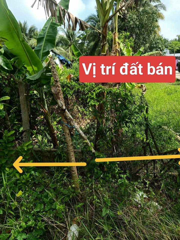 Đất nền mặt tiền đường Phú Lộc - Cái Ngang 262m² giá 1 tỷ - Cơ hội đầu tư sinh lời!