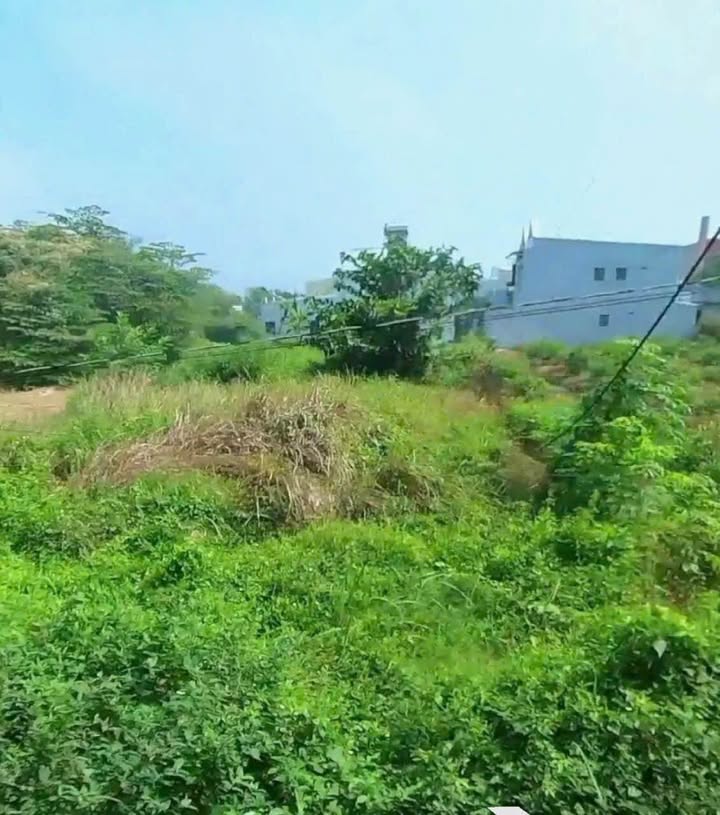 Đất nền mặt tiền đường DH25C xã Long Phước 146.7m² giá 1.3 tỷ - Sổ đỏ chính chủ