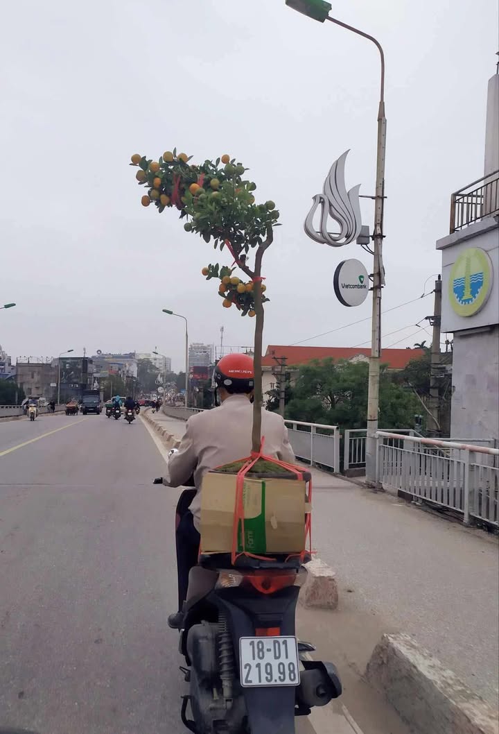 Đất nền Mỹ Xá 60m² giá 1.6 tỷ - Ô tô tận cửa, hướng Tây Bắc!