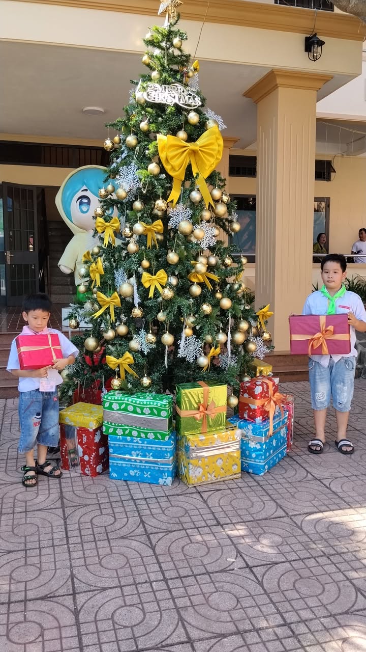 Đất nền Xuân Thọ Đà Lạt 1080m² giá 6.6 triệu/sào - Cơ hội đầu tư tuyệt vời!