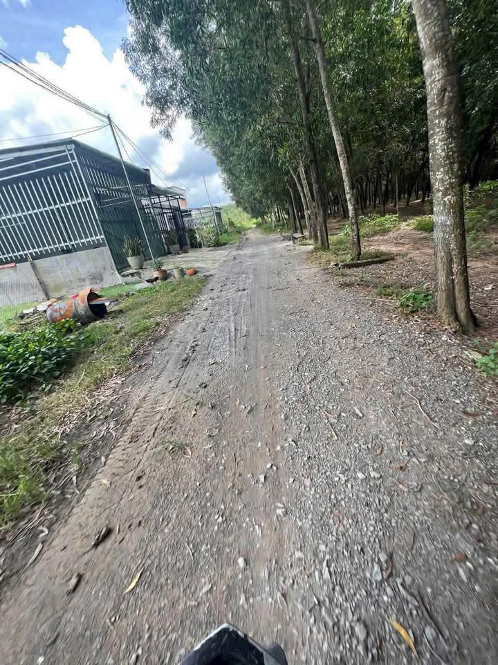 Đất nền Hòa Lợi, Bến Cát 106m² giá 1 tỷ - Đầu tư sinh lời cao!