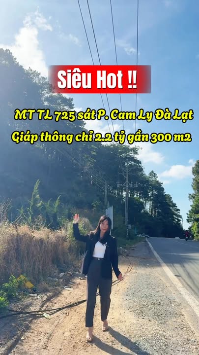 Đất mặt tiền TL 725 tại Cam Ly, Đà Lạt 300m² giá chỉ 2.3 tỷ - Cơ hội đầu tư hiếm có!