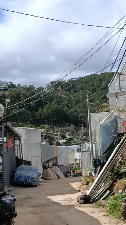 Nhà cho thuê Trần Thái Tông, Đà Lạt 5.5 triệu - Ấm cúng, ô tô đậu trước cửa!