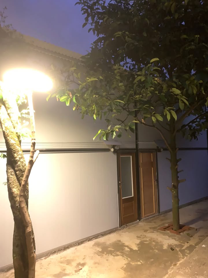 Phòng cho thuê tại Đà Lạt 25m² giá chỉ từ 1.5 triệu - Không gian sống lý tưởng!