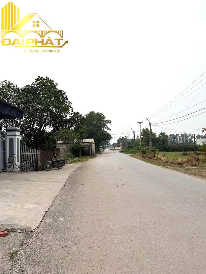 Đất mặt tiền Trần Quang Khải 117m² - Vị trí đắc địa, giá thỏa thuận!