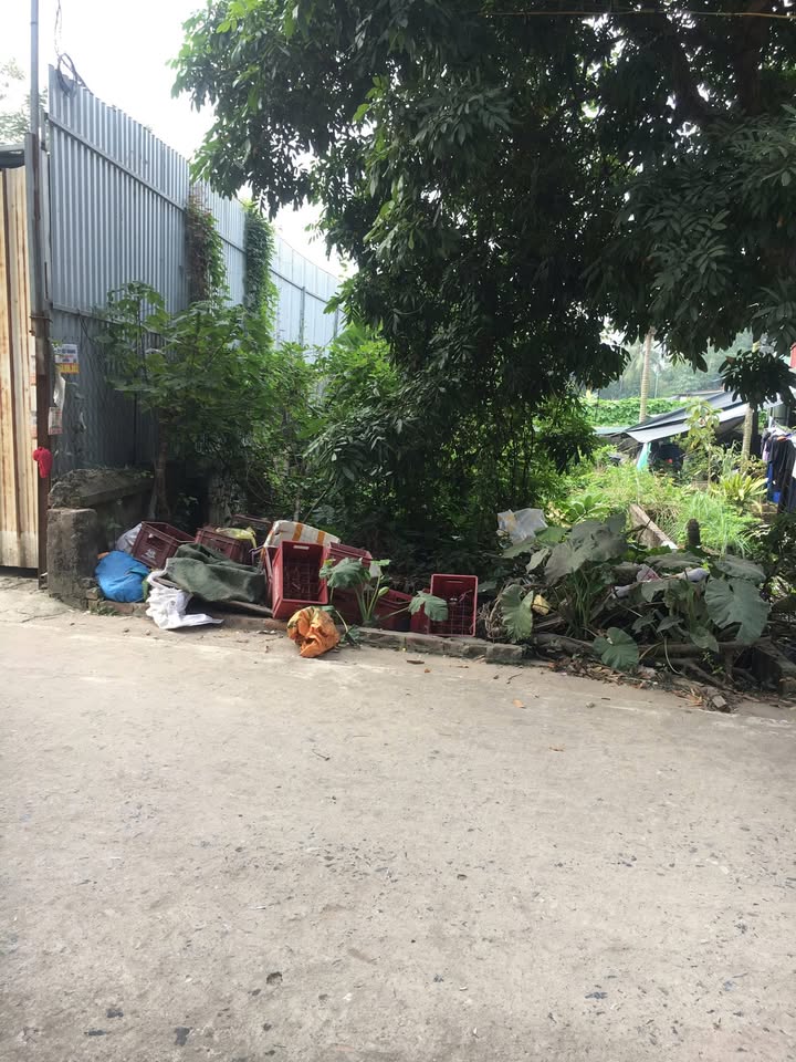 Đất nền Đông Mỹ, Thanh Trì 43m² giá 3.2 tỷ - Ngõ xe tải thông thoáng!