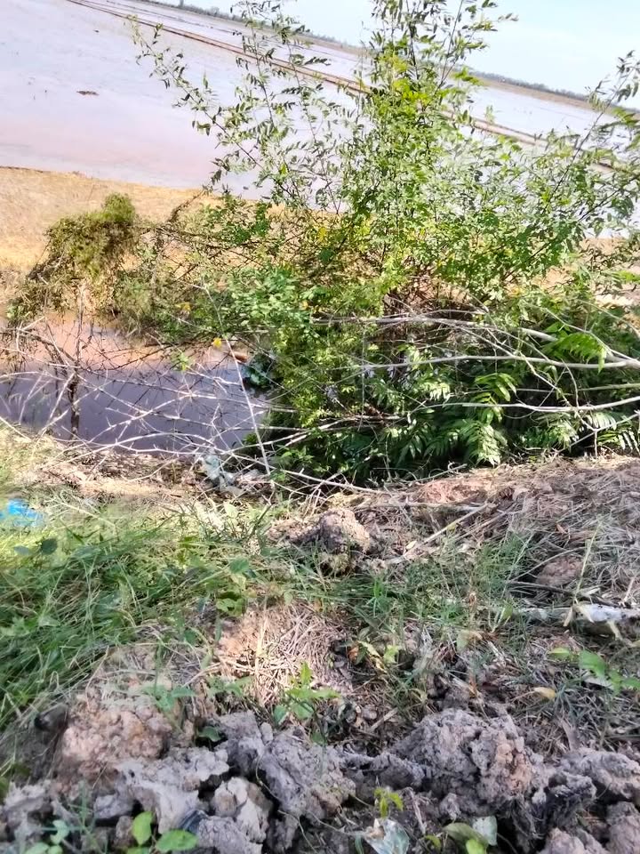 Đất mặt tiền 62.000m² tại Phú Cường, Tam Nông - Giá chỉ 150 triệu VND!