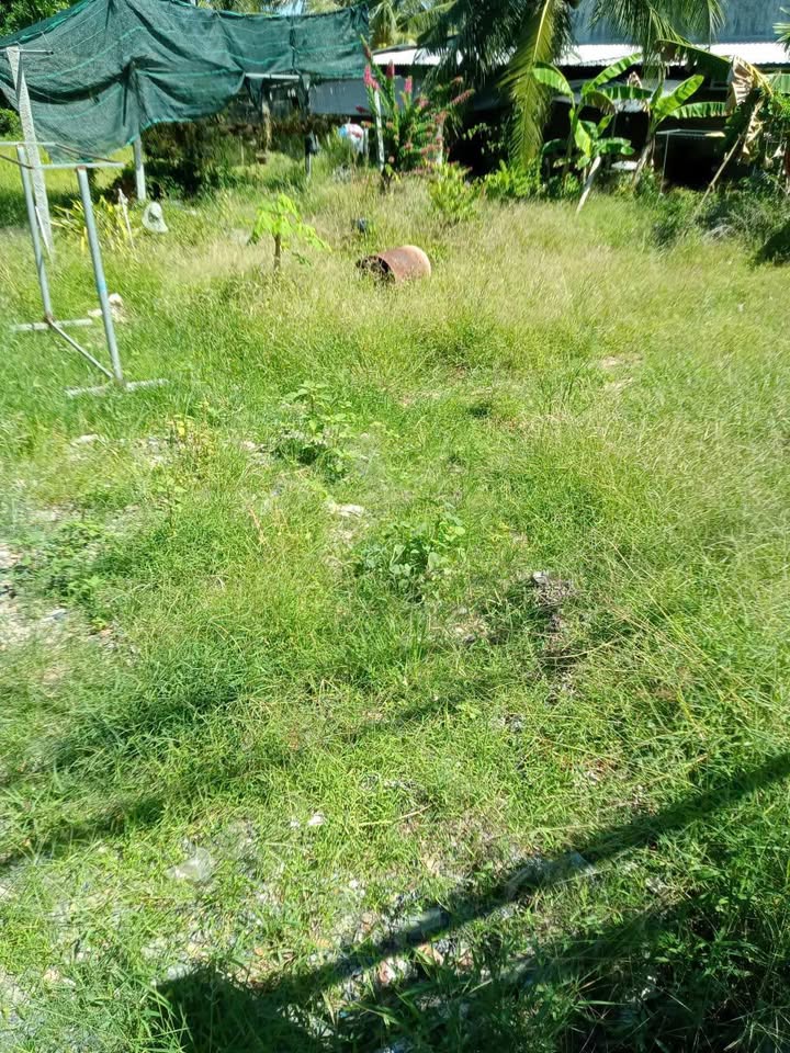 Đất nền Tân Phú Trung, Châu Thành 300m² giá 850 triệu - Đầu tư sinh lời ngay!