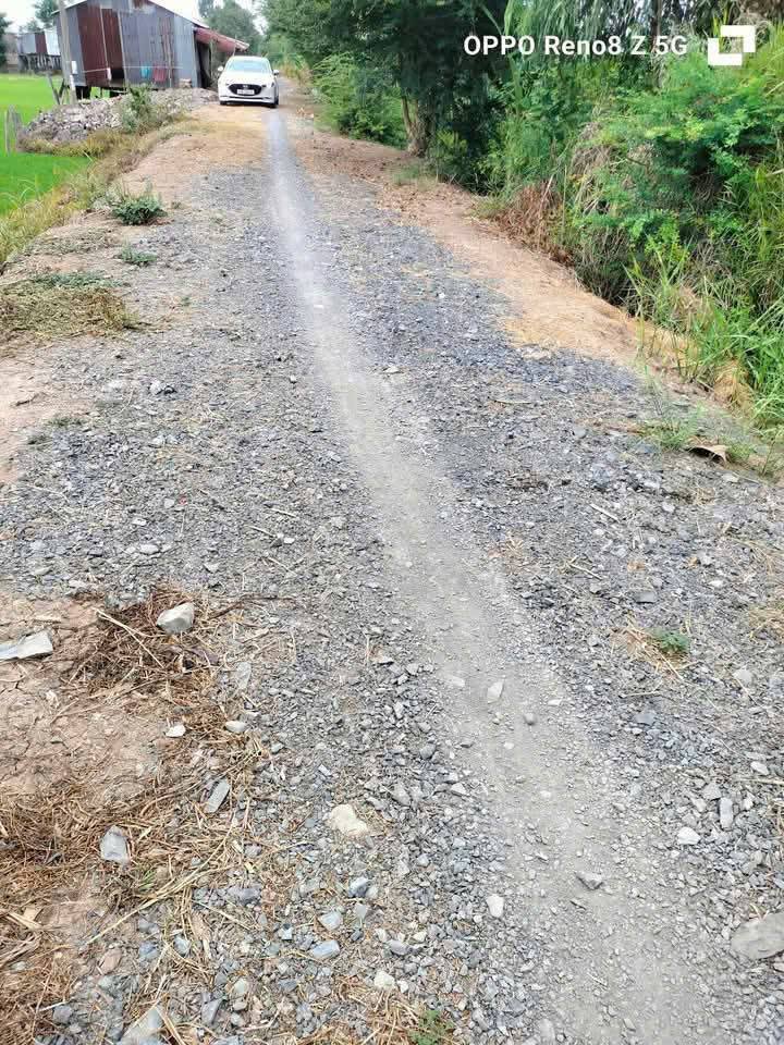 Đất thổ cư 167m² xã Tân Thạnh, Đồng Tháp giá 350 triệu - Gần chợ và trường học!