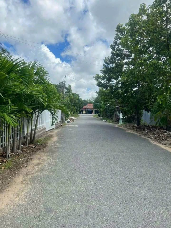 Nhà bán tại đường Trường Học Phạm Hữu Lầu, Cao Lãnh, Đồng Tháp, 274m² chỉ 3.999 tỷ - Chỉ cần dọn vào ở!