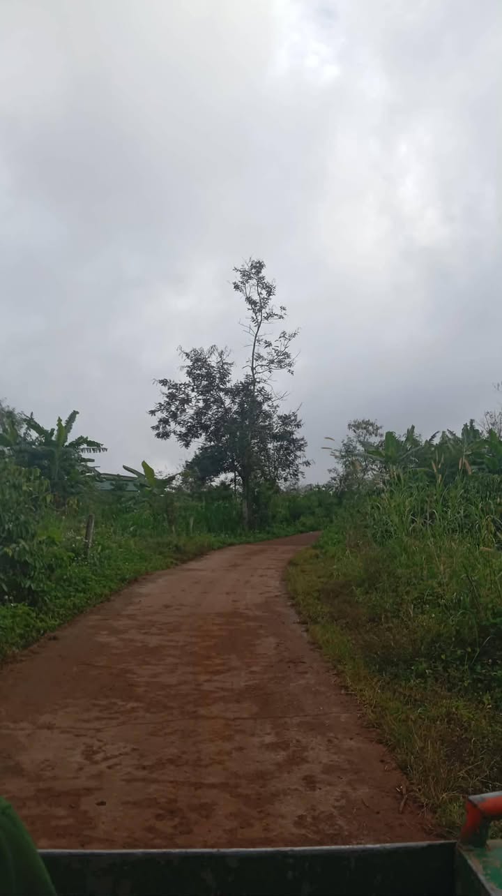 Đất nền Buôn Hồ 540m² giá 280 triệu - Đường bê-tông, gần trục chính!