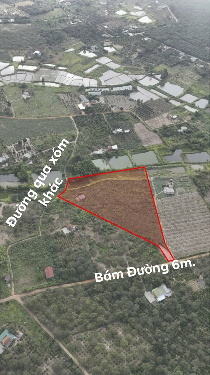 Farm 1ha4 tại Cư Ni, Ea Kar chỉ 85 triệu - Đầu tư thu lợi ngay!