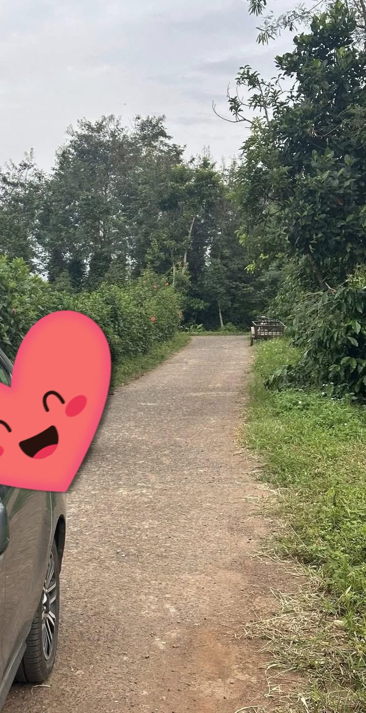 Đất nền 2600m² Km49, xã Ea Kly, 600 triệu - Đường ô tô tận nơi, điện nước đầy đủ!