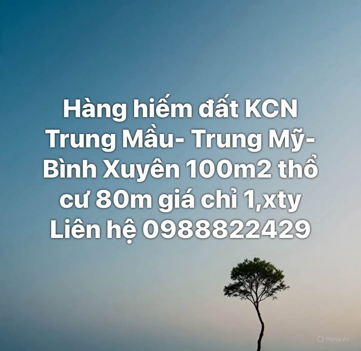 Đất thổ cư 100m² tại KCN Trung Mầu, Bình Xuyên giá chỉ 1 tỷ - Cơ hội đầu tư hiếm có!