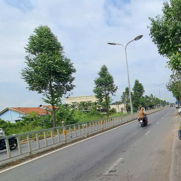 Đất nền mặt tiền Quốc lộ 50, Tân Lân, Cần Đước 518m² - Giá chỉ 8 tỷ thương lượng!