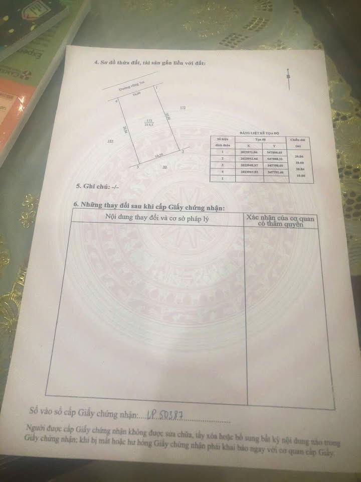 Đất thổ cư Cẩm Bình 200m² giá chỉ 6xx triệu - Cơ hội đầu tư hấp dẫn!