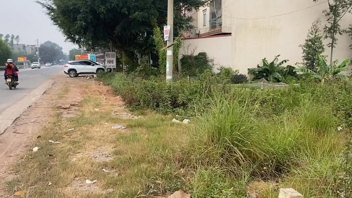 Đất mặt tiền QL31 Lục Nam 81m² - Đầu tư sinh lời dễ dàng!