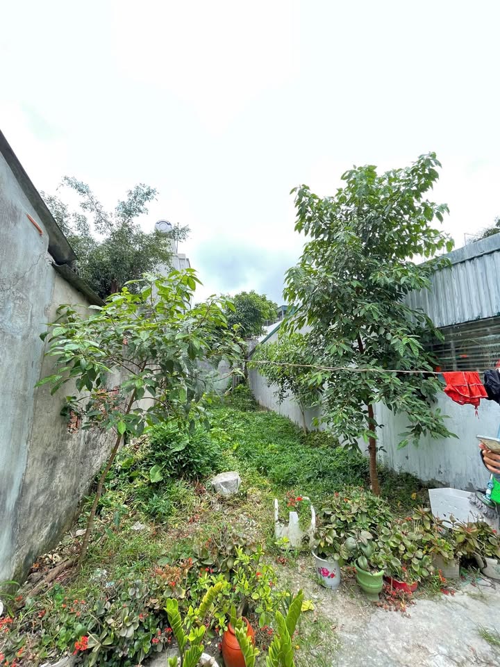 Đất nền Hưng Đạo, Tiên Lữ 84m² giá 1.2 tỷ - Sổ đỏ chính chủ, pháp lý minh bạch!