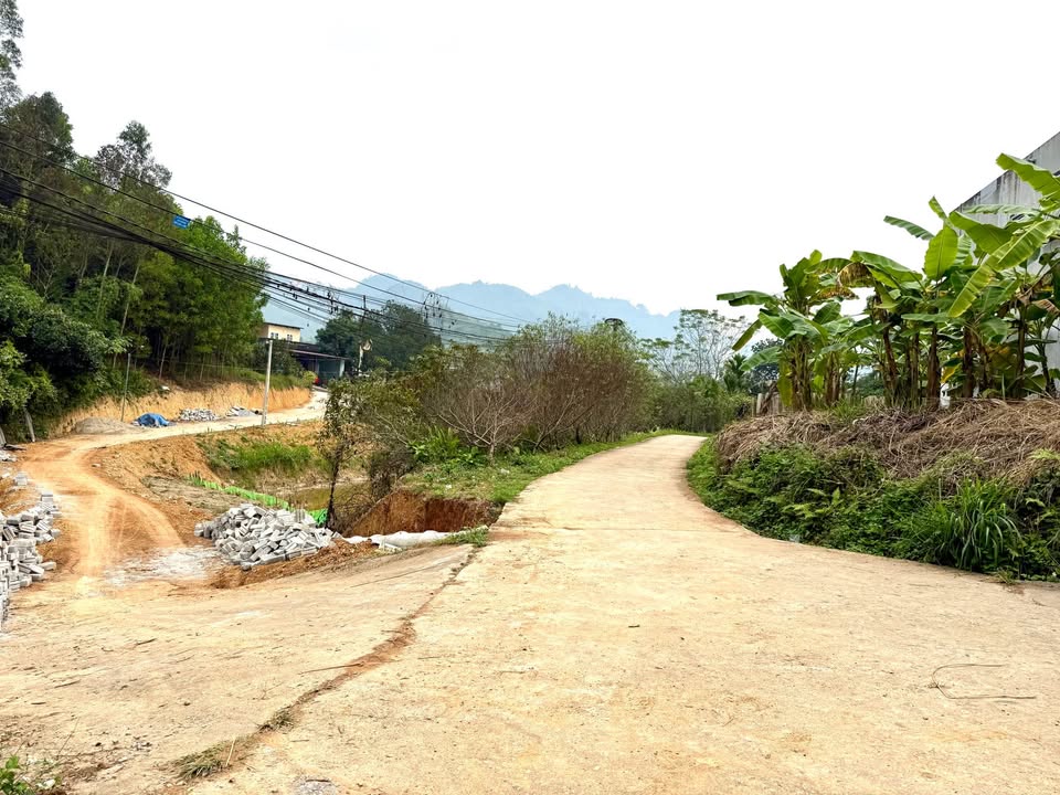 Đất nền Nông Tiến, Tuyên Quang 93m² - Ô tô vào tận nơi, giá tốt!