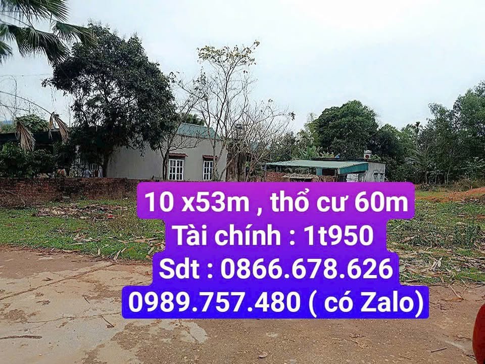 Đất nền thổ cư Lưỡng Vượng 525m² giá chỉ 1.95 tỷ - Đầu tư sinh lời