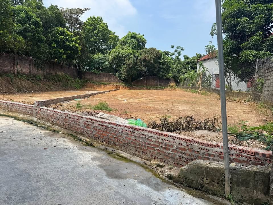 Đất thổ cư Phú Sơn, Ba Vì 166m² giá 900 triệu - Tiềm năng đầu tư hấp dẫn!