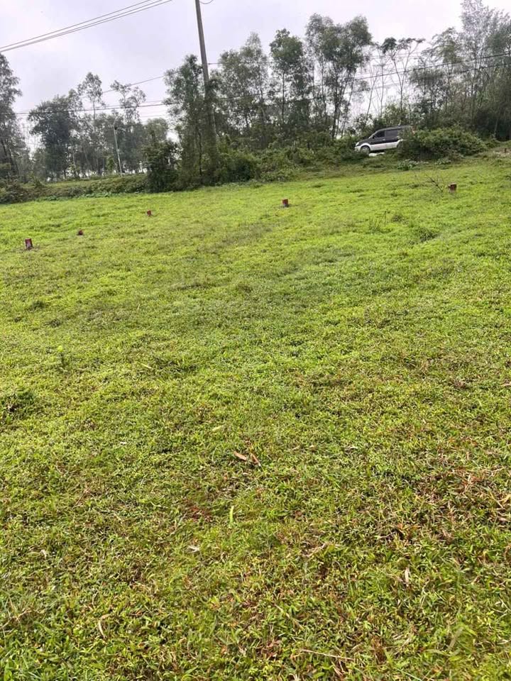 Đất nền Phú Vang 90m² giá 500 triệu - Cơ hội đầu tư không thể bỏ lỡ!