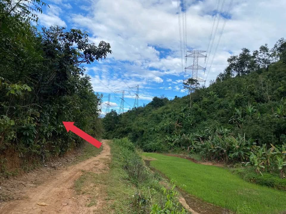 Đất rẫy 1ha2 tại xã Đakrowa, Kon Tum - Gần khu dân cư, giá chỉ 600 triệu!