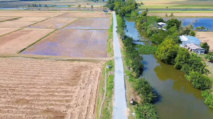 Đất trồng lúa 14.700m² tại Ngũ Lạc, Trà Vinh giá 1.47 tỷ - Cơ hội đầu tư hấp dẫn!