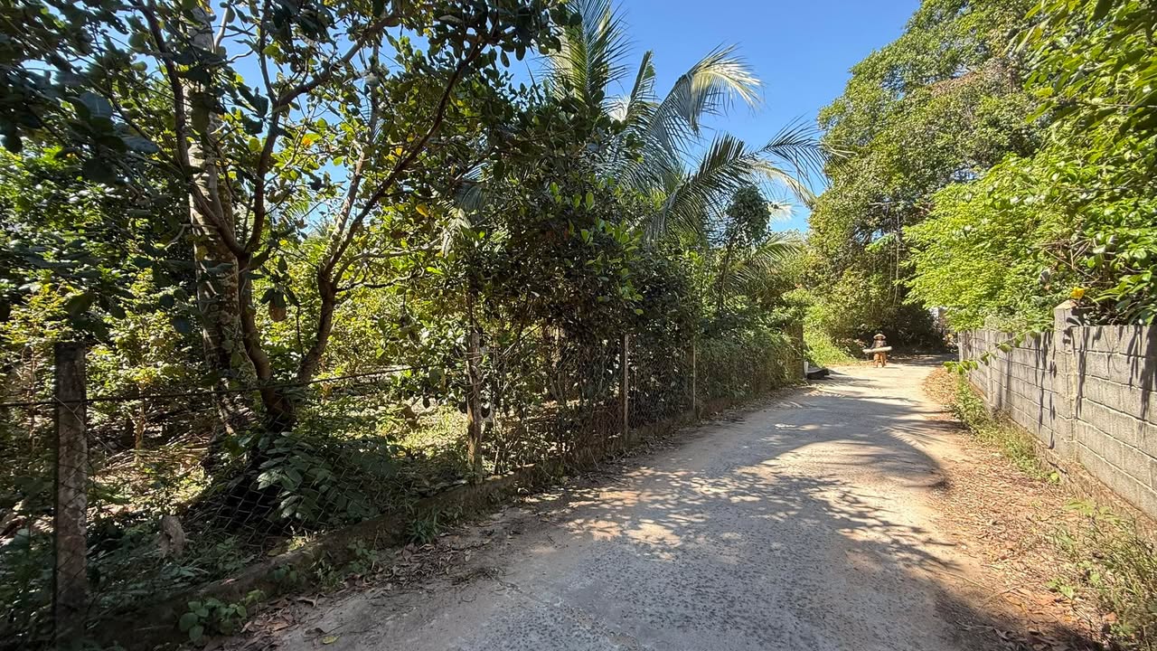 Đất lô góc Ông Lang, Phú Quốc 2.000m² giá 1x tỷ - Phù hợp đầu tư resort!