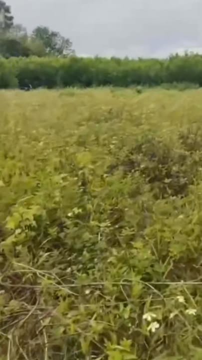 Đất Tịnh Đông, Sơn Tịnh 1600m² giá 900 triệu - Sổ đỏ chính chủ, view sông thoáng mát!