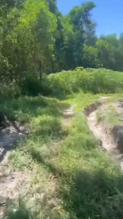 Đất thổ cư Tịnh Bắc 1200m² giá 800 triệu - Cơ hội đầu tư tuyệt vời!