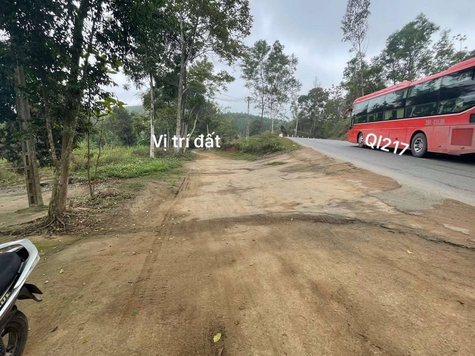 Đất nền Vĩnh Hòa, Vĩnh Lộc 205m² giá 600 triệu - Cơ hội đầu tư hấp dẫn!