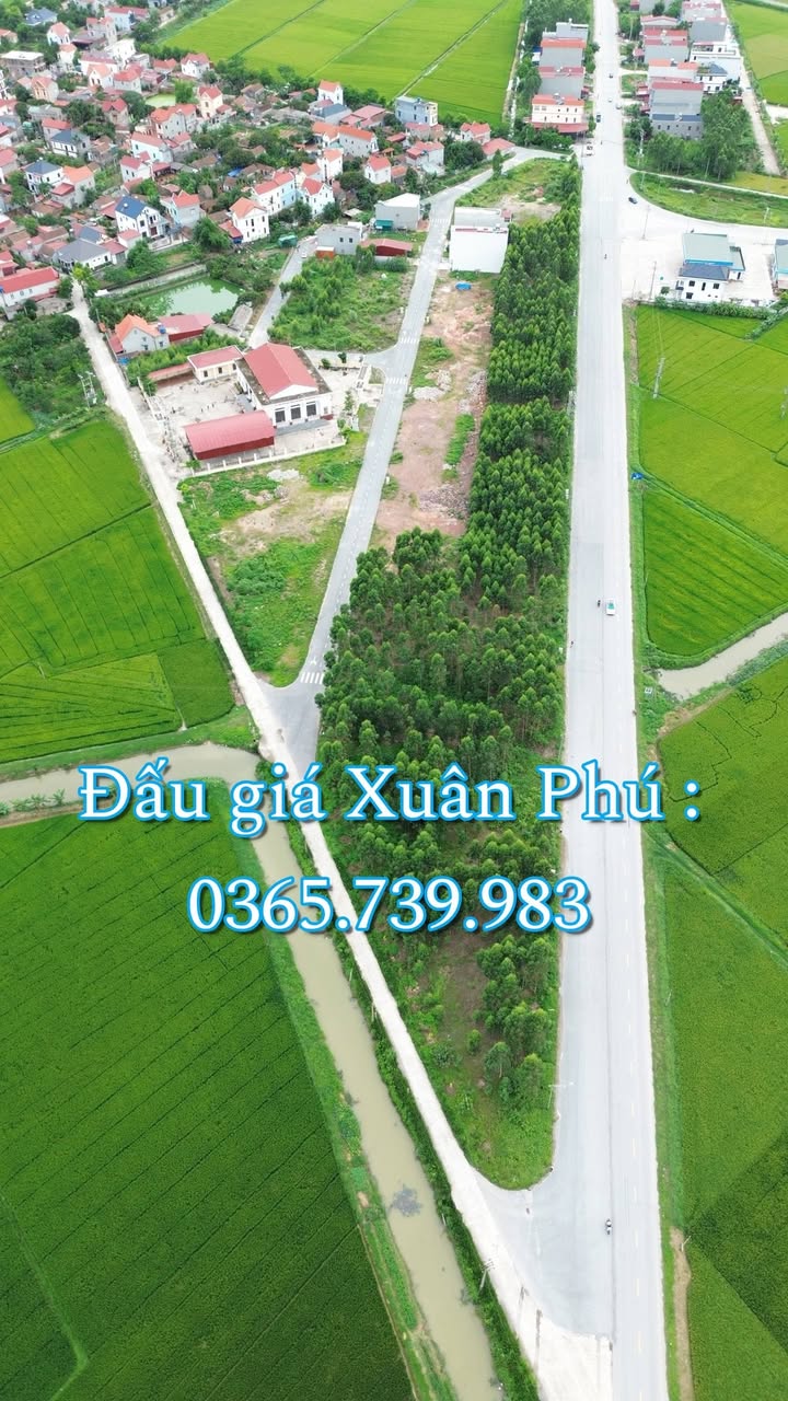 Đất nền khu dân cư Xuân Đông, TL 299, 90m² - Đầu tư sinh lời cao!