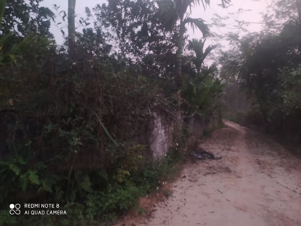 Đất Farm 6000m² tại Chân Sơn, Tuyên Quang - Tiềm năng đầu tư sinh lời!